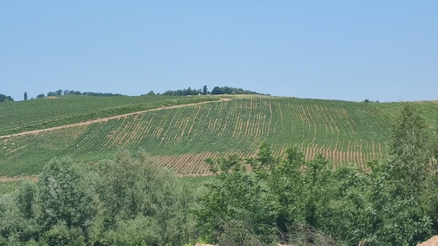 1749459628_6846a2ac1646f