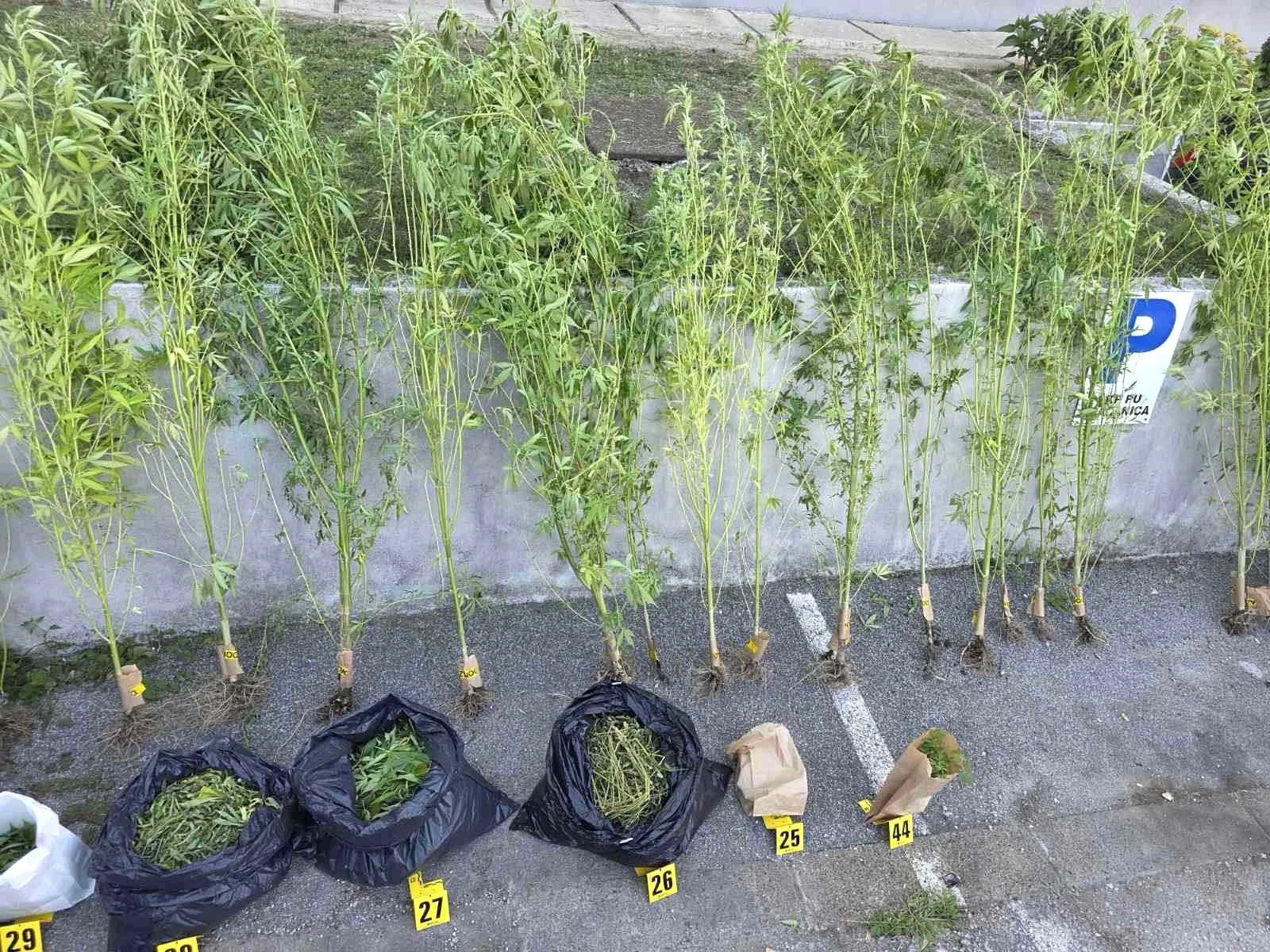 PU Gračanica - jednom licu oduzeta sloboda zbog zloupotrebe opojnih droga